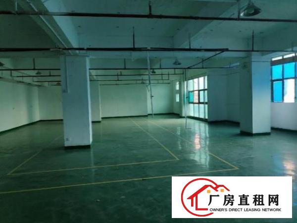  大王山工业大厦500平精装修厂房出租