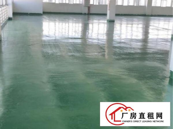  江门市江海高新区业主12450平方楼上厂房出租