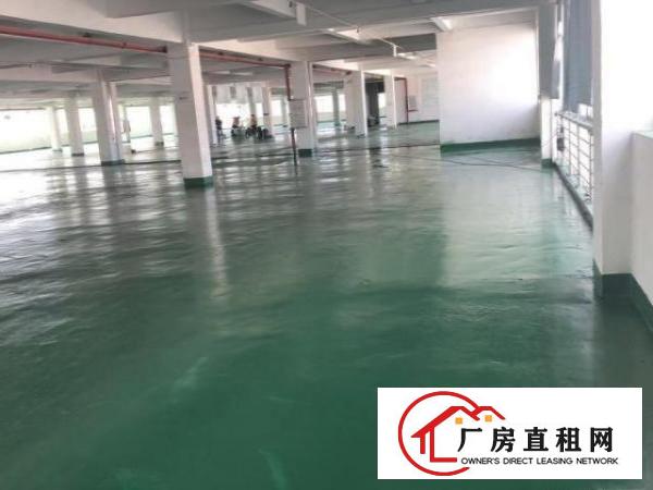  江门市江海高新区业主12450平方楼上厂房出租