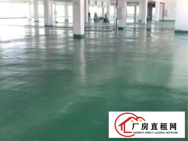  江门市江海高新区业主12450平方楼上厂房出租