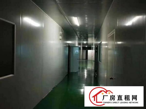  沙井独院厂房4800平一三楼无尘车间二楼豪华办公室