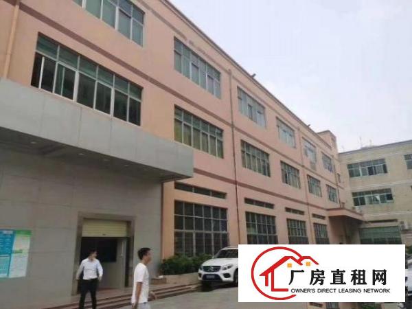  沙井独院厂房4800平一三楼无尘车间二楼豪华办公室