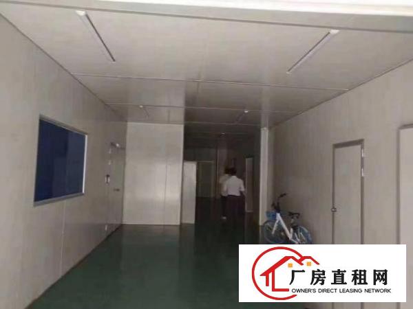  沙井独院厂房4800平一三楼无尘车间二楼豪华办公室