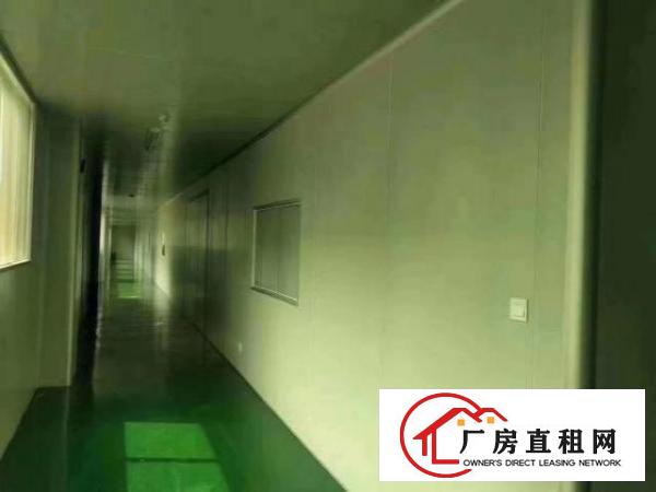  沙井独院厂房4800平一三楼无尘车间二楼豪华办公室