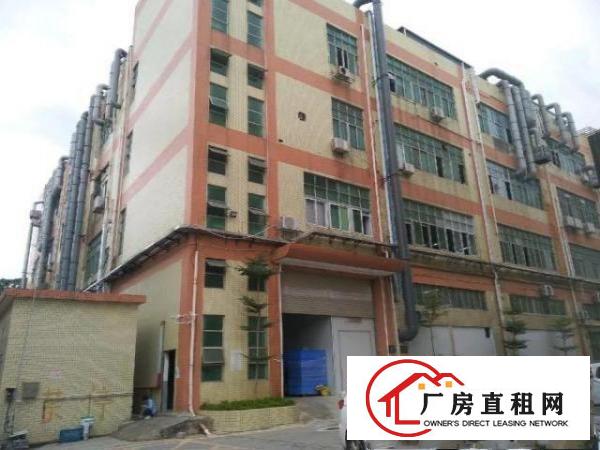  沙井共和工业区电镀厂房550和1100平米出租带环评