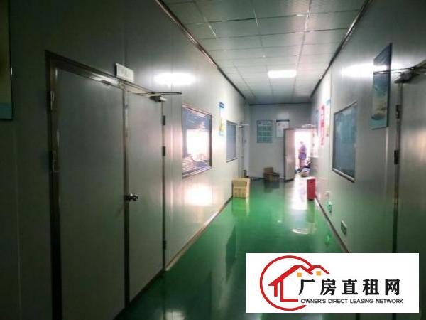  沙井步涌新出1500平千级无尘车间免装修费