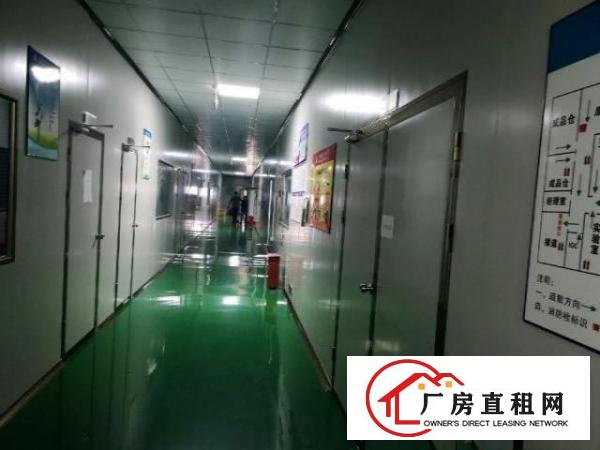  沙井步涌新出1500平千级无尘车间免装修费