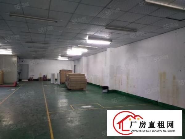  沙井新桥芙蓉工业区二楼1500平方精装修厂房招租，交通方便