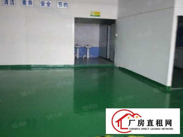  非中介宝安精装厂房业主直租转让