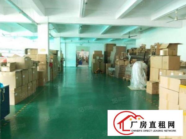  沙井98工业城，2楼1080平米，带精装修免转让费