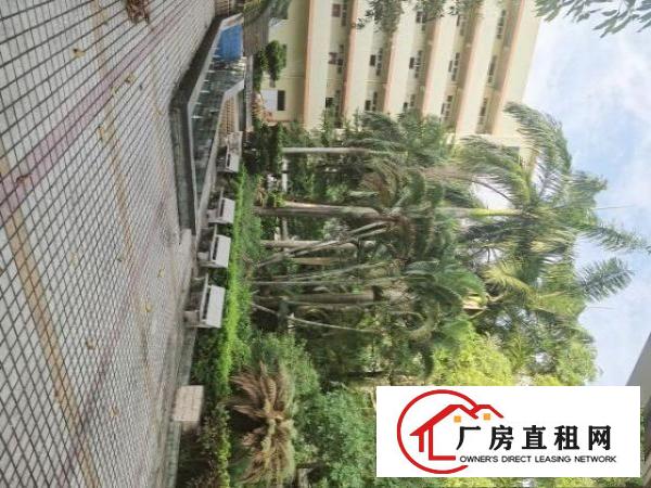  沙井步涌独院原房东4万平厂房招租大小可分使用率高