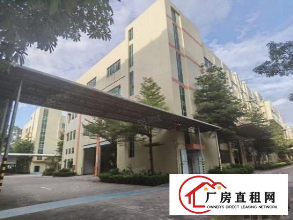  沙井步涌独院原房东4万平厂房招租大小可分使用率高