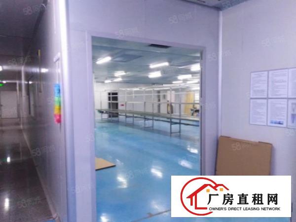  沙井大型工业区500平带装修厂房，使用率高，位置好