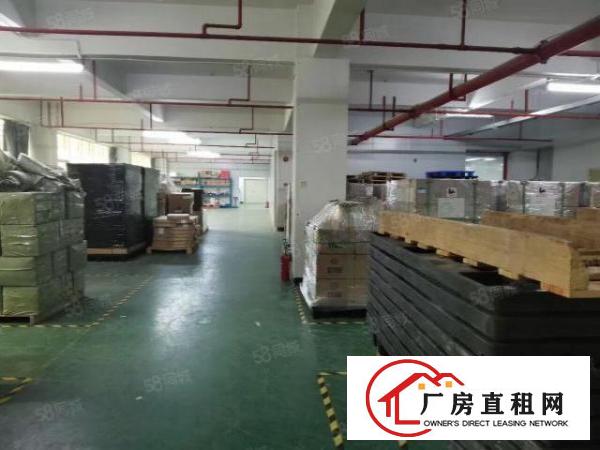  步涌同富裕二楼带精装修厂房900平无转让费