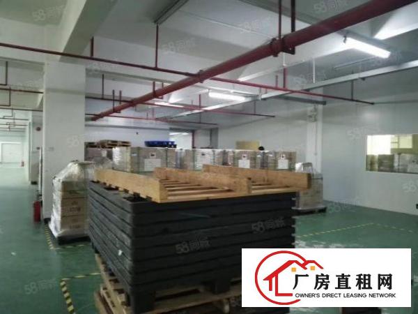  步涌同富裕二楼带精装修厂房900平无转让费