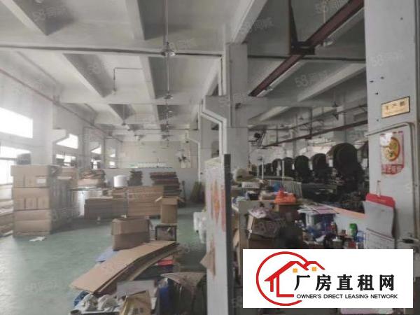  沙井新出厂房1楼2200平带牛角层高6米厂房价格优惠