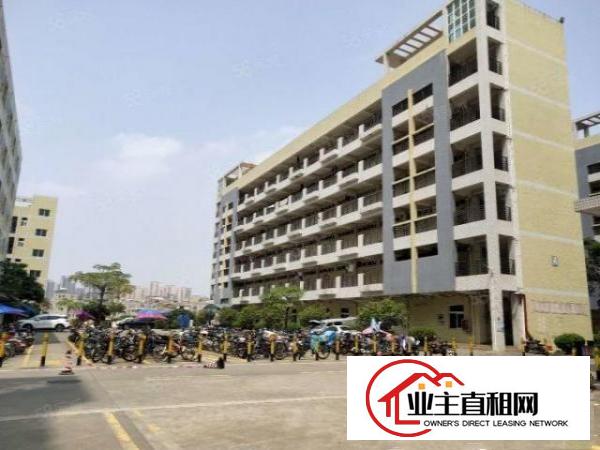  精装修无转让费200平起分深圳宝安沙井标准厂房仓库可分租整租