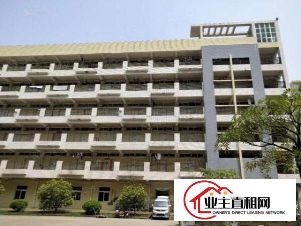  精装修无转让费200平起分深圳宝安沙井标准厂房仓库可分租整租