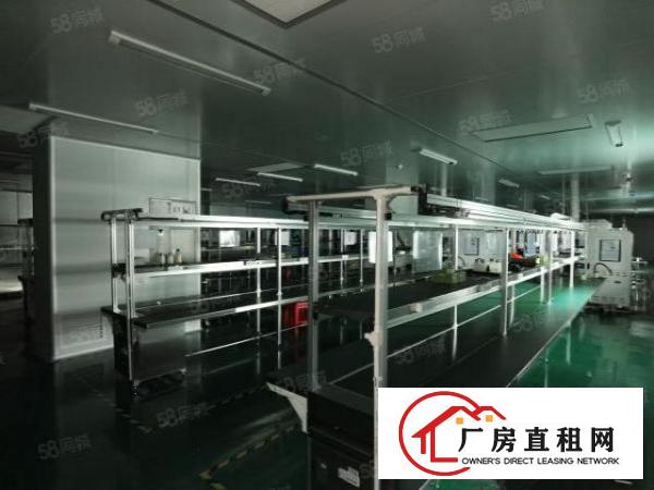  沙井和一整栋4800，豪华装修，无尘车间，合同510年