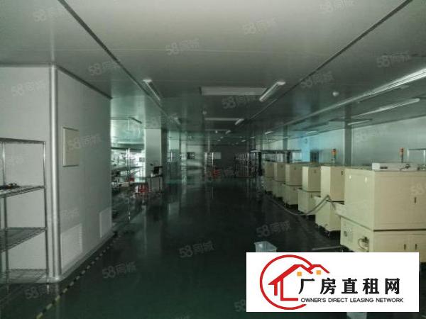  沙井和一整栋4800，豪华装修，无尘车间，合同510年