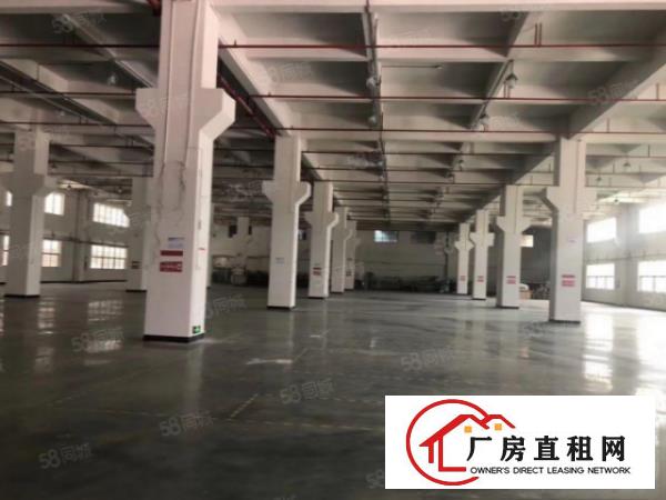  沙井锦程路边上新出一楼4500平方层高6米带牛角厂房出租