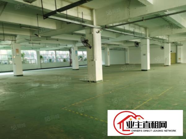  沙井西环路边1500平米带装修厂房出租现已空出，随时看房