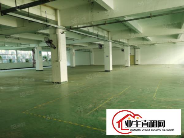  沙井西环路边1500平米带装修厂房出租现已空出，随时看房
