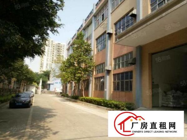  沙井南环路与西环路新出楼上精装修厂房出租500平方