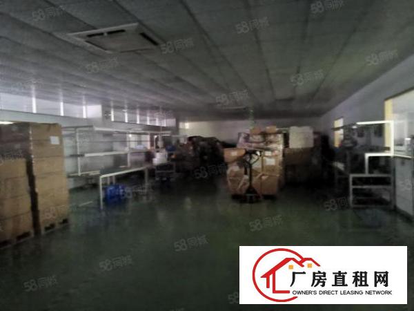  沙井新桥厂房出租面积2000平方米二楼带精装修