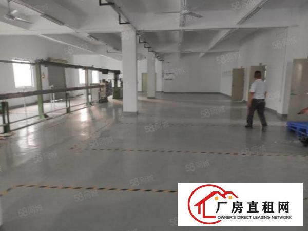  沙井新出厂房400平600平800平1100平