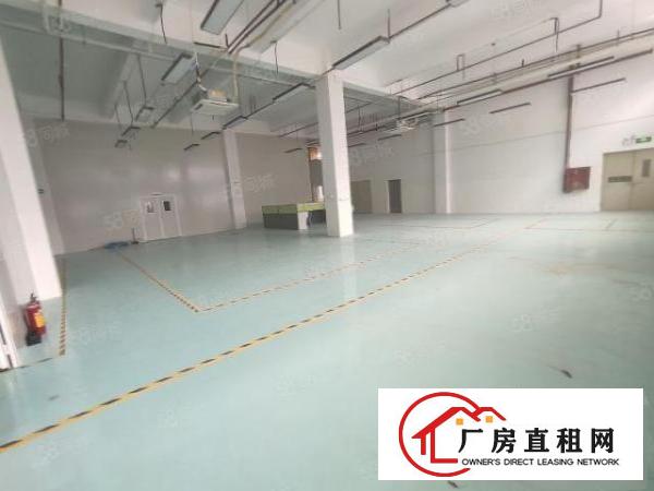  沙井新出厂房400平600平800平1500平