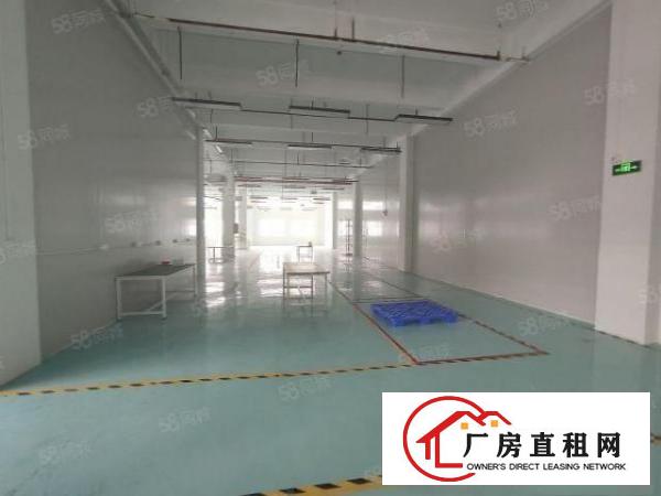  沙井新出厂房400平600平800平1500平
