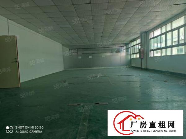  沙井新出厂房400平600平800平1500平