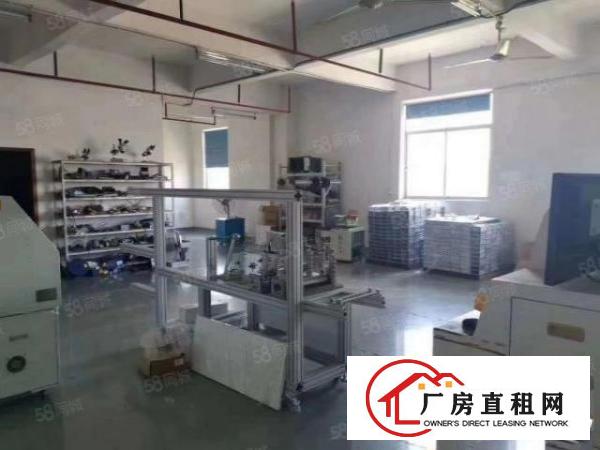  万丰不拆迁500平米带精装修厂房出租