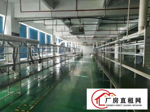  万丰98工业区1200平米精装修厂房出租