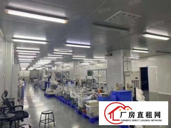  沙井西部大型园区1900平无尘车间