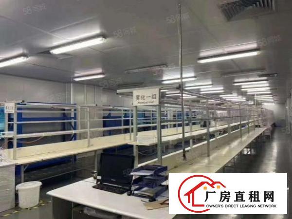  沙井西部大型园区1900平无尘车间