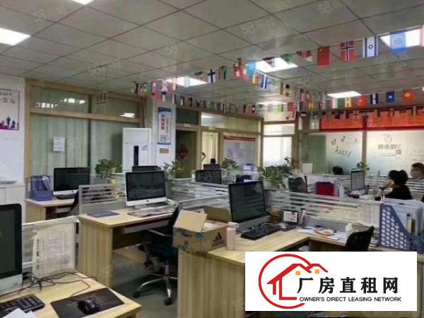  沙井新桥楼上1500平米带无尘车间厂房招租不要转让费