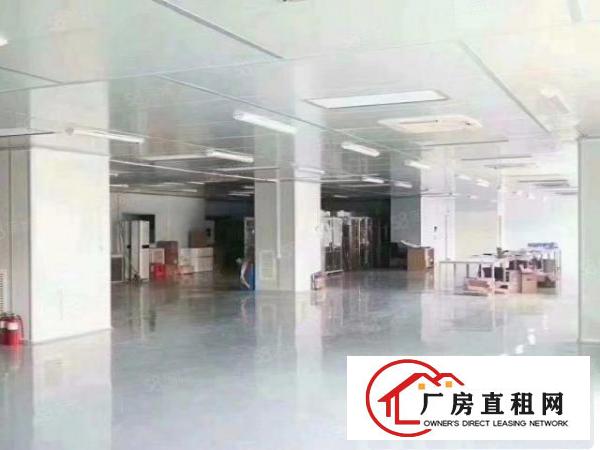  沙井新桥楼上1500平米带无尘车间厂房招租不要转让费