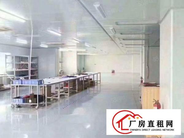  沙井新桥楼上1500平米带无尘车间厂房招租不要转让费