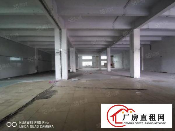  沙井西环路北环路共和工业区1楼1200平高6米生产仓库