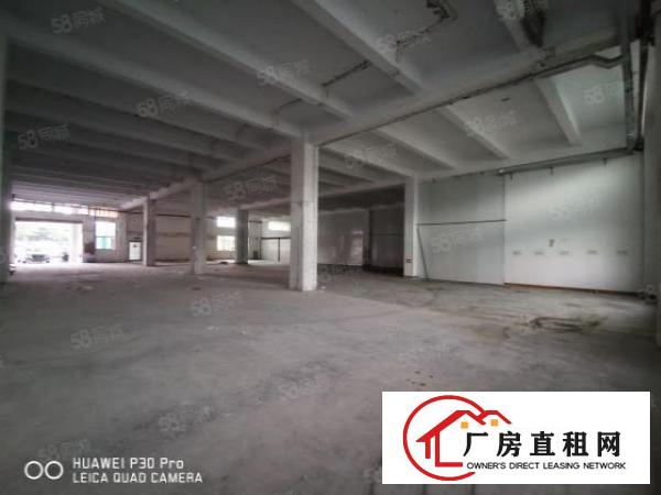  沙井西环路北环路共和工业区1楼1200平高6米生产仓库