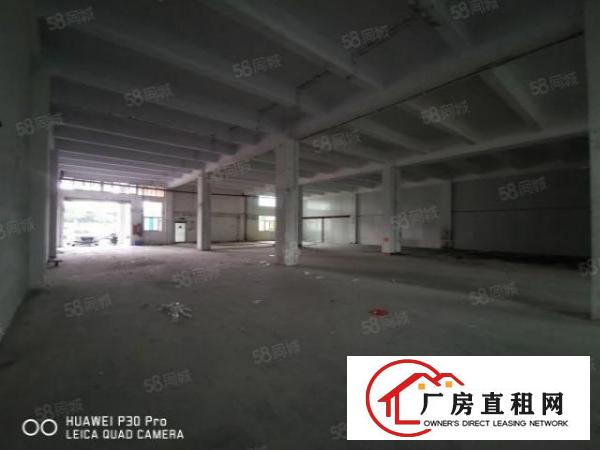  沙井西环路北环路共和工业区1楼1200平高6米生产仓库