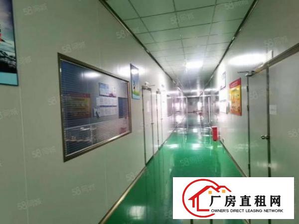  沙井2楼整层1700平米带千级无尘车间电子烟厂房，无转让费
