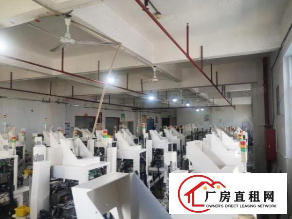  沙井新桥，楼上700平方精装修厂房出租。