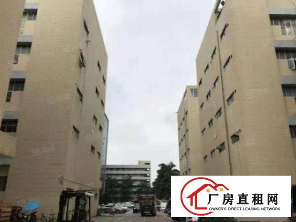  沙井180平小面积厂房出租，面积实在