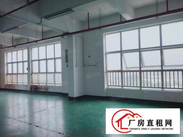 沙井新出标准厂房出租