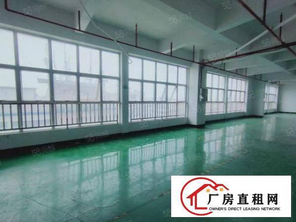  沙井新出标准厂房出租