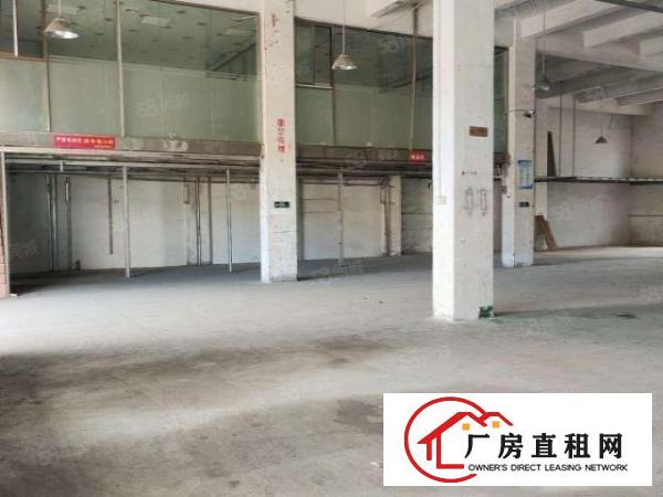  万丰九八工业区一楼7米高800平厂房
