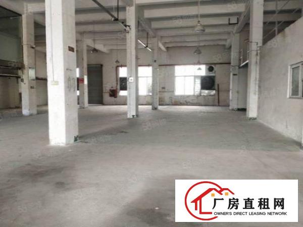  万丰九八工业区一楼7米高800平厂房